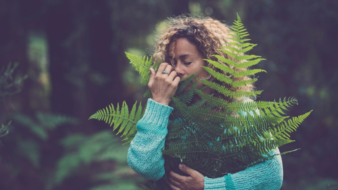 Stress, Sleep & Wellness